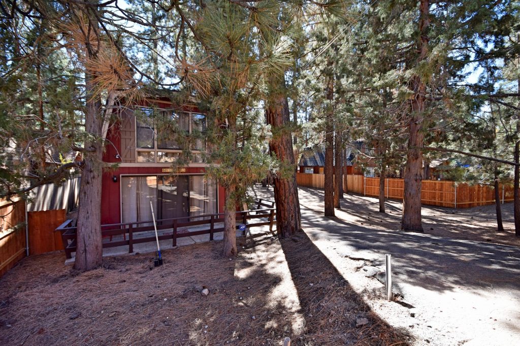Cabin exterior surrounded by tall pine trees near The Village in Big Bear