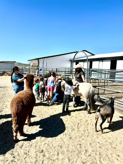 Children and families interacting with alpacas, goats, and farm animals at the Starlight Equestrian Ranch petting zoo.