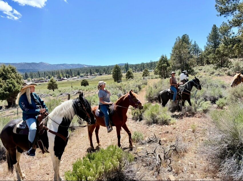 Group of riders enjoying a guided horseback riding tour through scenic trails at Starlight Equestrian Ranch surrounded by forest and hills.