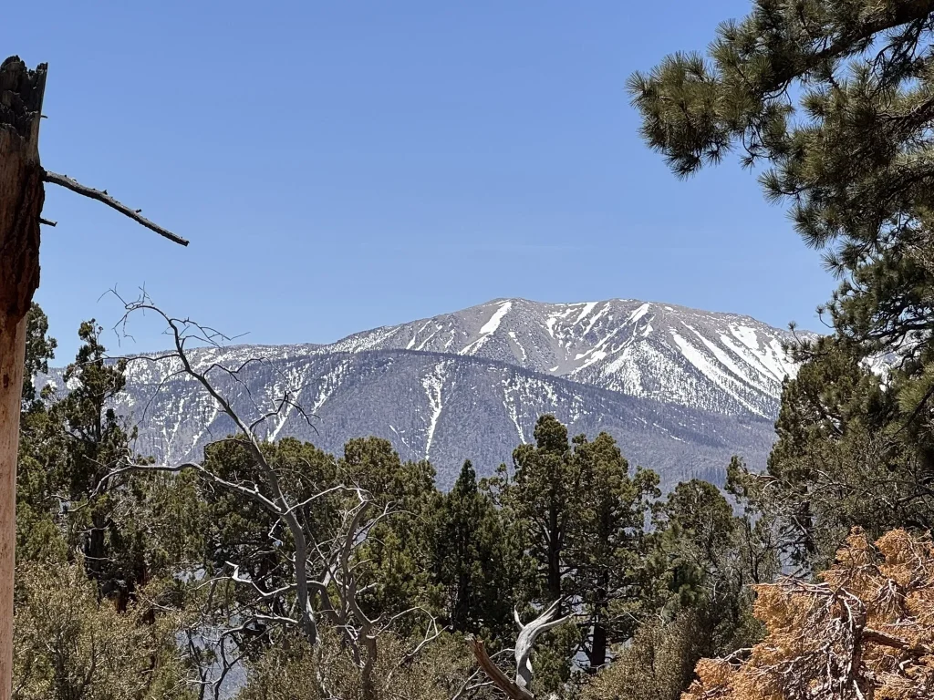 : Snow-capped mountain seen from a hiking trail in Big Bear.