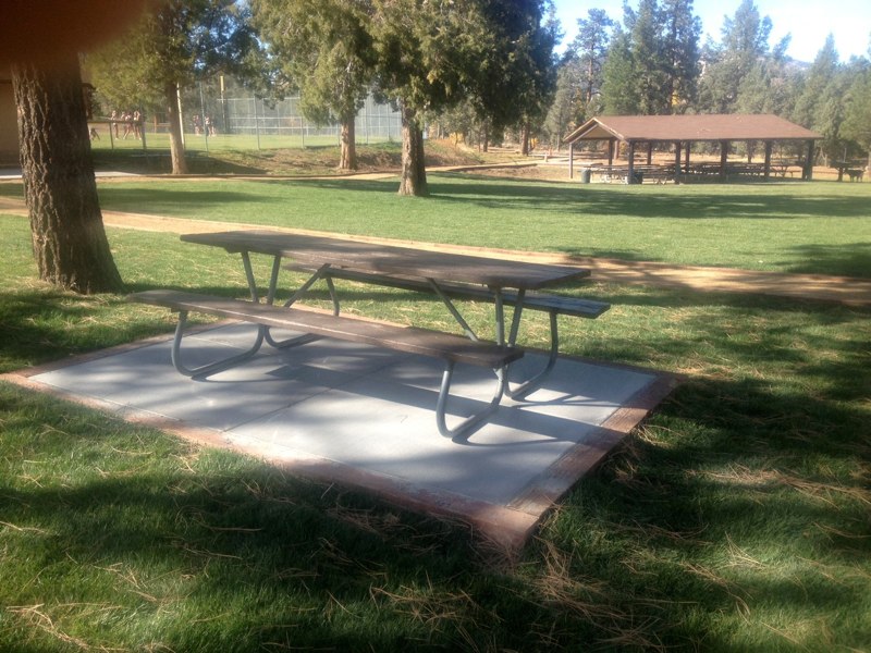 Picnic table on a concrete pad in a grassy park area with pine trees, open lawn space, and a picnic shelter visible in the background.