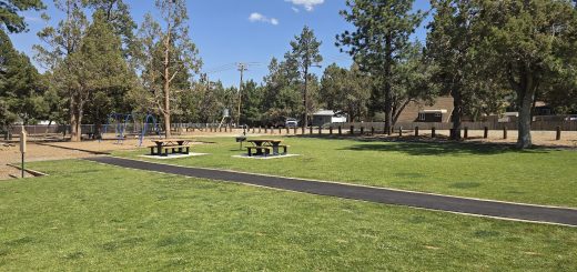 Open grassy park area with picnic tables, paved walking path, swing set playground, and tall pine trees under a clear blue sky in a mountain neighborhood setting.