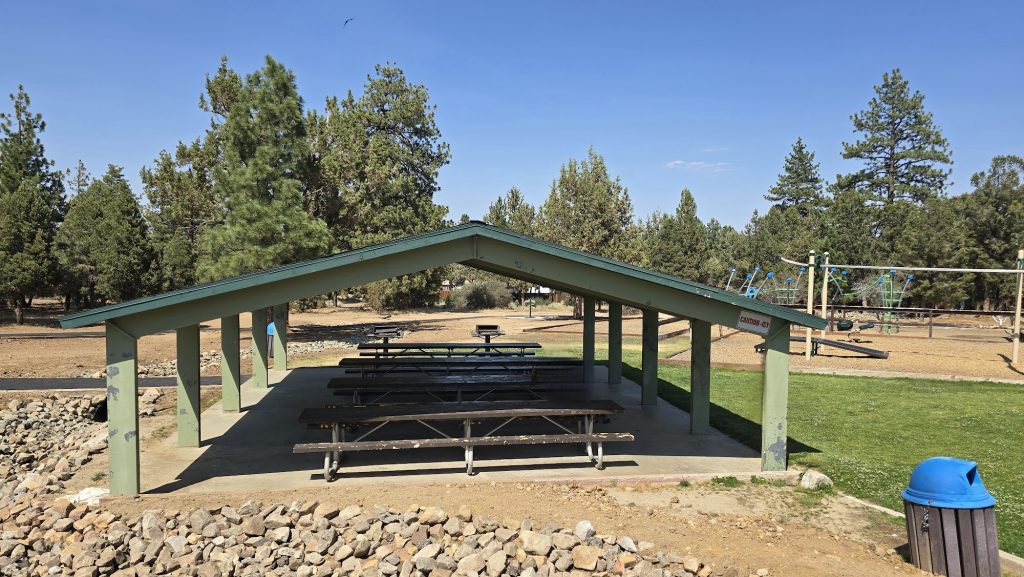 Covered picnic shelter with multiple picnic tables in a forest park setting, surrounded by pine trees, open grassy areas, and nearby playground equipment under a clear blue sky.