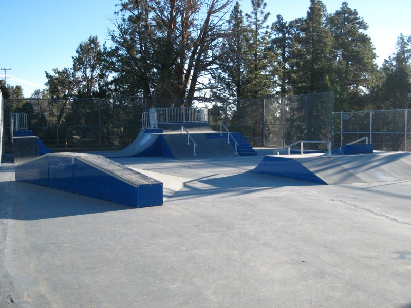 A concrete skate park with blue ramps, rails, and platforms surrounded by trees and fencing under a clear blue sky.