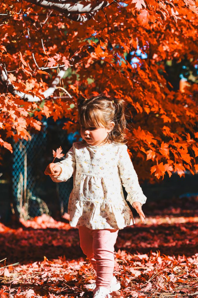 The Hidden Estate – child playing with a leaf under bright orange autumn trees
