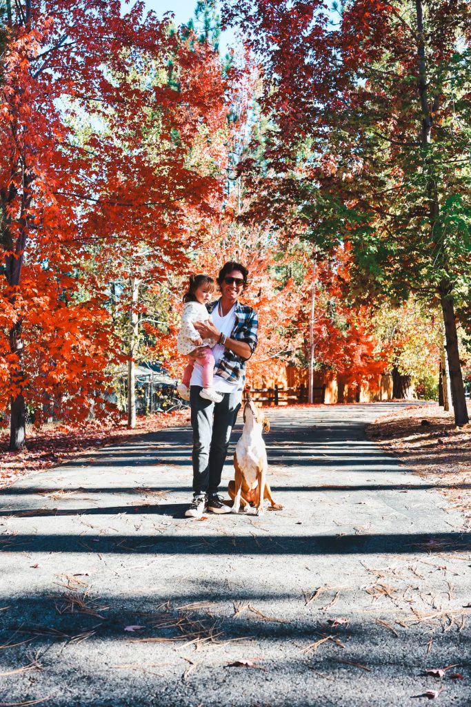 The Hidden Estate – man holding a child while walking with a dog under colorful fall trees