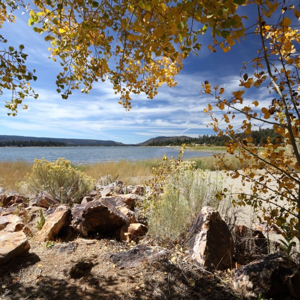 A beautiful photo of Big Bear Lake is shown in autumn, with golden leaves on trees in the foreground and the lake and mountains in the background.