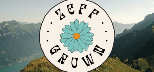 Zeff Wellness logo displayed on a mountain backdrop in Big Bear, symbolizing growth and wellness in nature.