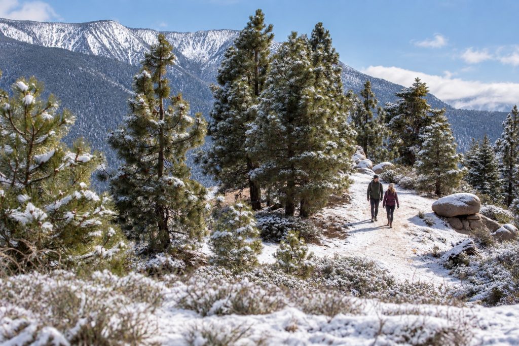 Hikers walking through a snowy pine forest trail with mountain views in Big Bear