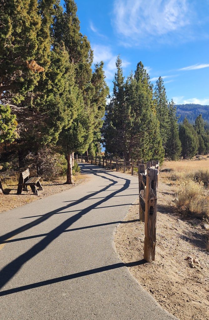 The Alpine Pedal Path near Juniper Point in Big Bear Lake featuring a paved trail lined with wooden fencing, pine trees, and scenic mountain surroundings.