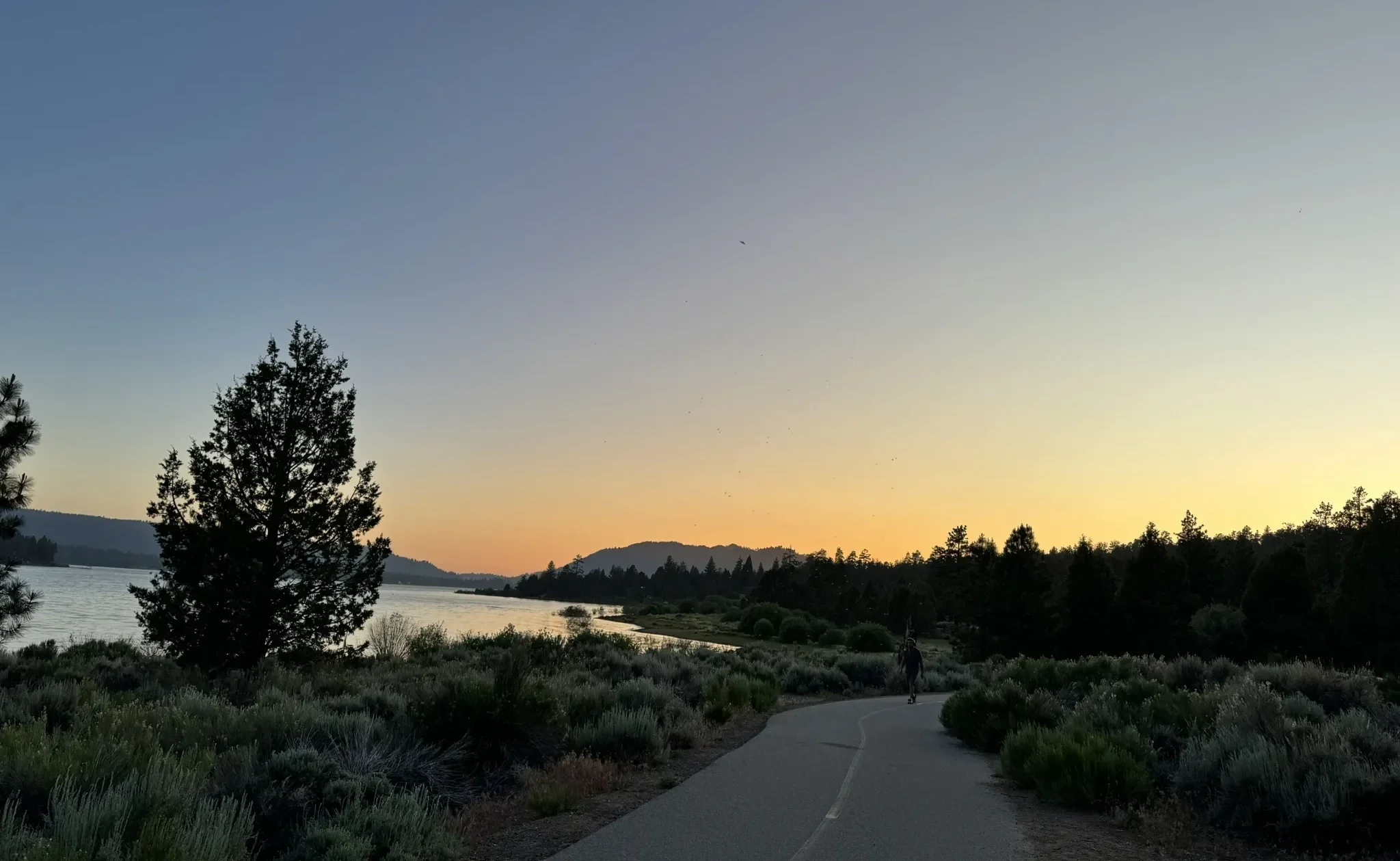 Alpine Pedal Path