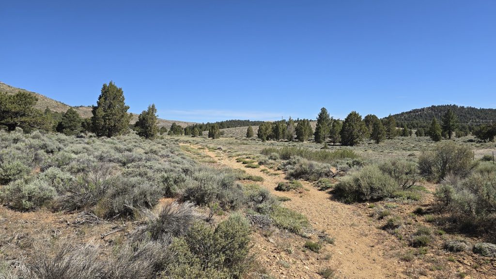 Expansive view of Baldwin Lake Ecological Reserve featuring sagebrush-covered meadows, mountain backdrops, and dramatic cloud formations.