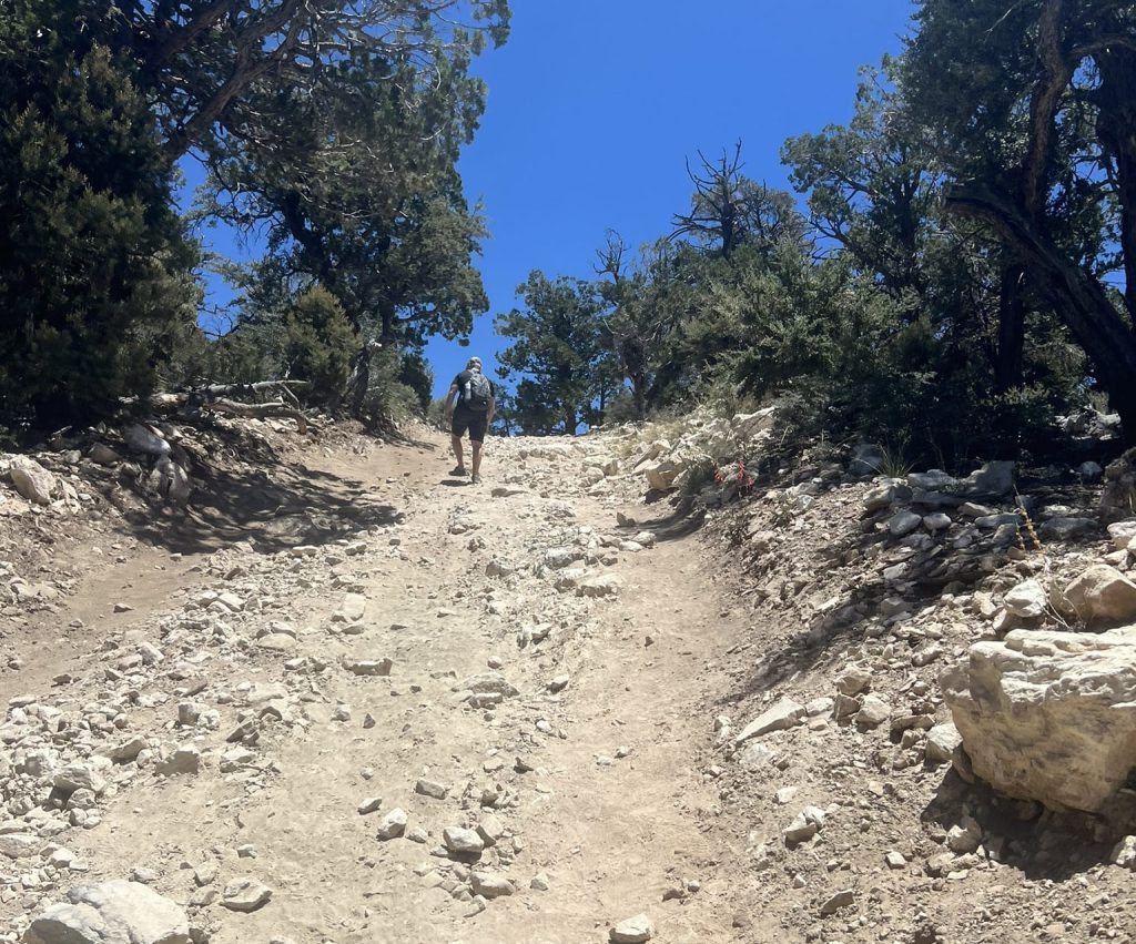 A person hikes up a steep, rocky dirt path surrounded by trees under a clear blue sky in Big Bear.