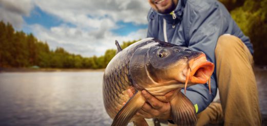 Angler holding large fish during Big Bear Lake fishing event
