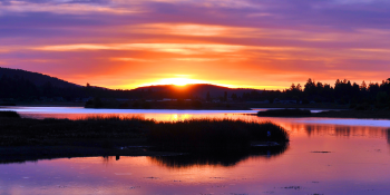 A beautiful sunset with vibrant orange and purple hues reflects over a serene lake, framed by distant mountains and silhouetted reeds at Big Bear.