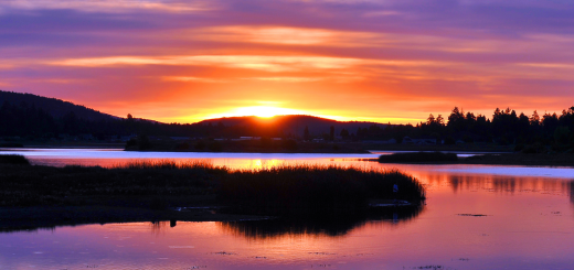 A beautiful sunset with vibrant orange and purple hues reflects over a serene lake, framed by distant mountains and silhouetted reeds at Big Bear.