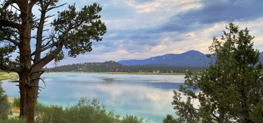 Scenic view of Big Bear Lake framed by pine trees with calm reflective waters, mountain backdrops, and dramatic clouds at sunset.