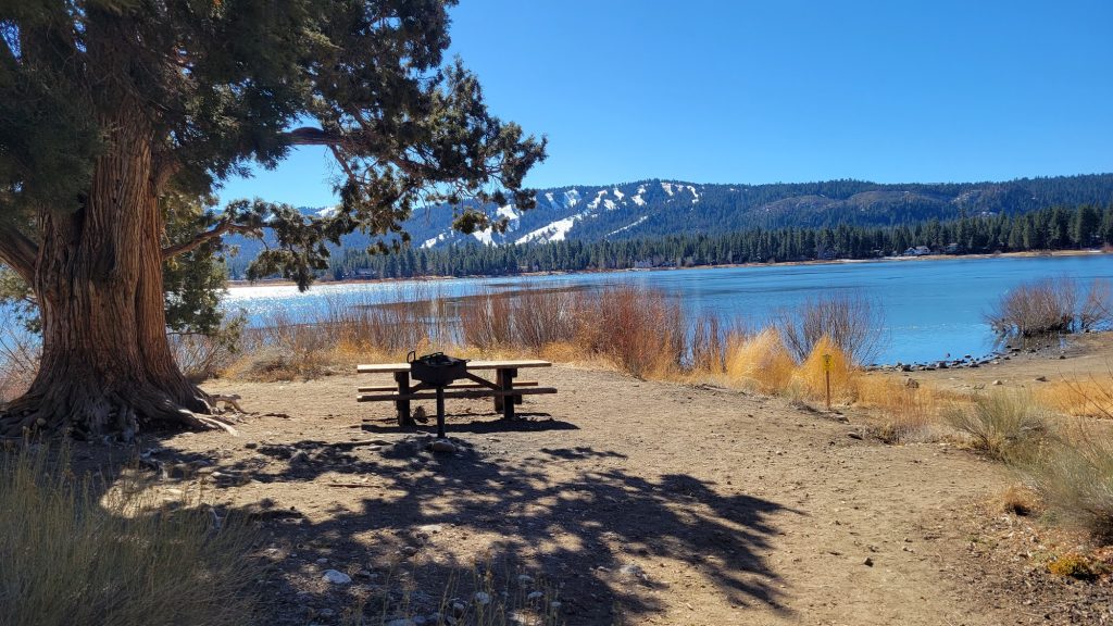 Picnic table beneath a large tree overlooking Big Bear Lake with mountain views and snowy ski slopes in the distance under a clear blue sky.