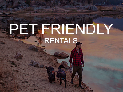 A man and his two dogs stand on the shore of a lake at Big Bear, with the text "PET FRIENDLY RENTALS" superimposed, inviting visitors to find pet-friendly accommodations.