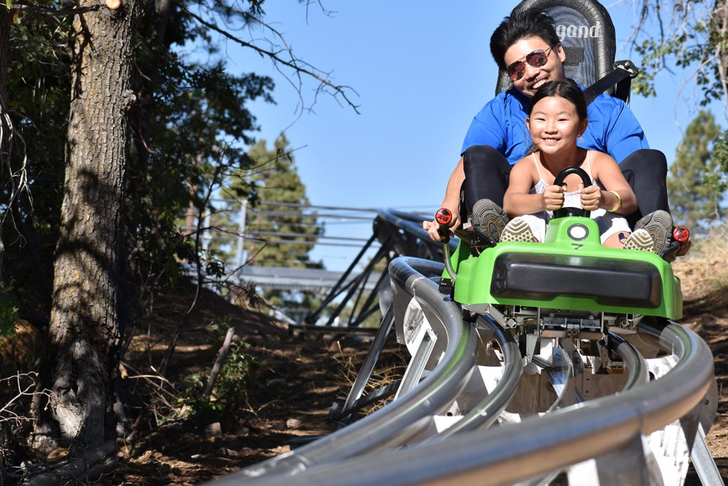 A man and a child joyfully ride the Mountain Coaster at Big Bear, surrounded by trees on a thrilling outdoor adventure.