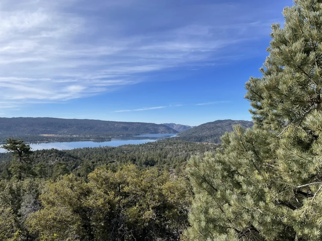Cougar Crest Trail: 4 miles Round Trip (750 feet elevation gain)