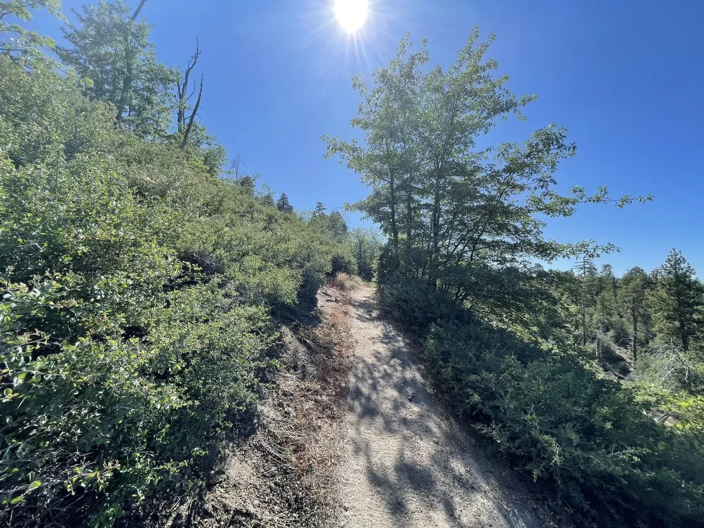 Hanna Flat Trail