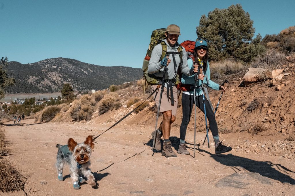 Two hikers with backpacks and trekking poles walking a mountain trail with a small dog.