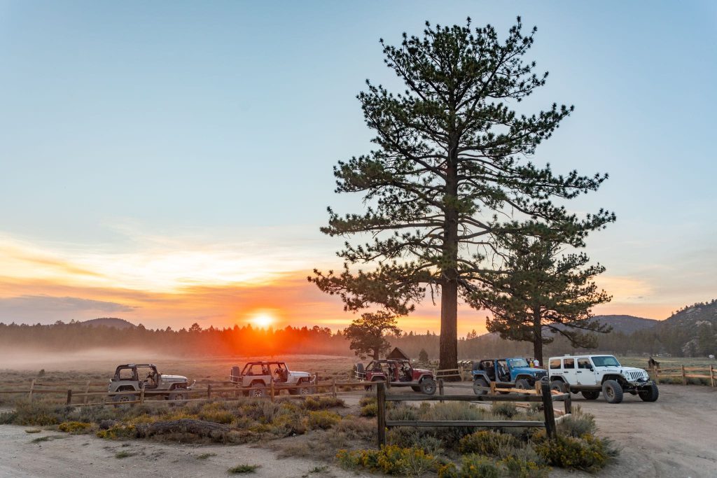 Jeeps parked at sunset in Big Bear, with a large pine tree and warm sky in the background, signaling the end of an off-roading day.