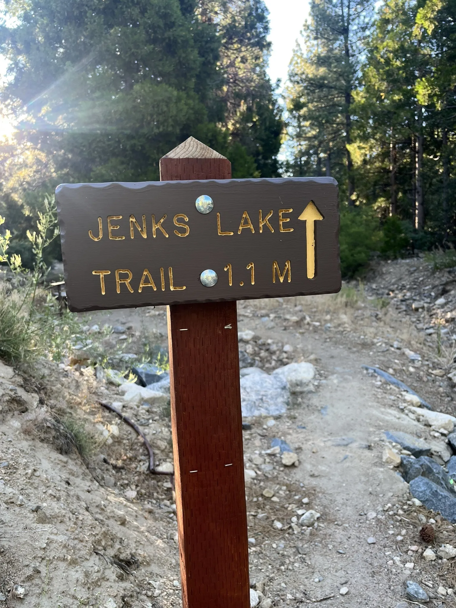 Scenic view of Jeff's Lake Trail in Big Bear, showcasing lush greenery and a winding path through the forest.