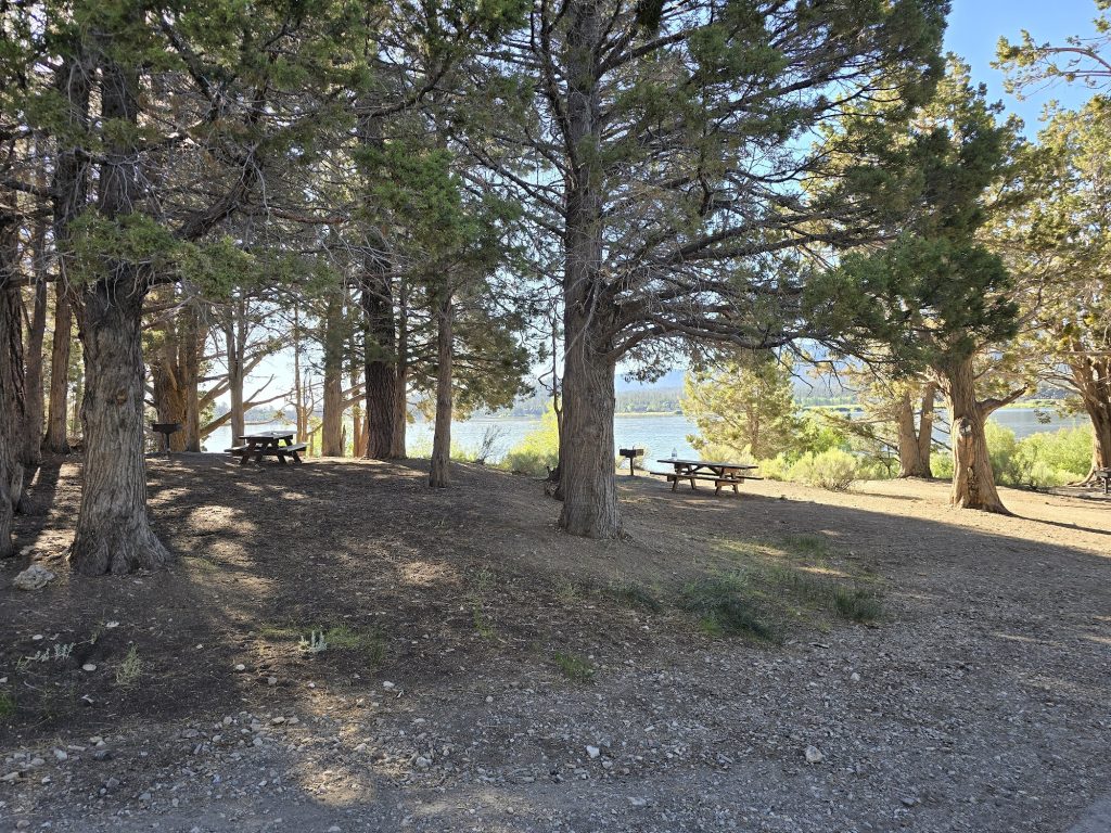 Shaded picnic sites at Juniper Point Picnic Area in Big Bear Lake featuring picnic tables beneath mature pine trees with peaceful lake views in the background.