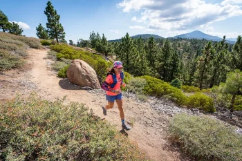 Hiking Trails in Big Bear