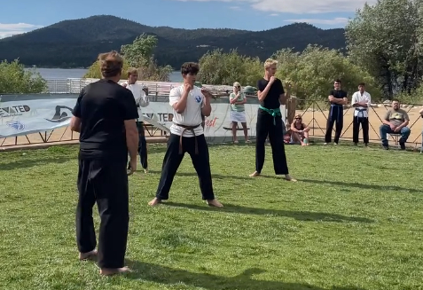 Martial arts performers demonstrating karate techniques during the Lakefest event near the lake