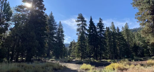 Lassen Drive and Bow Canyon Loop Big Bear