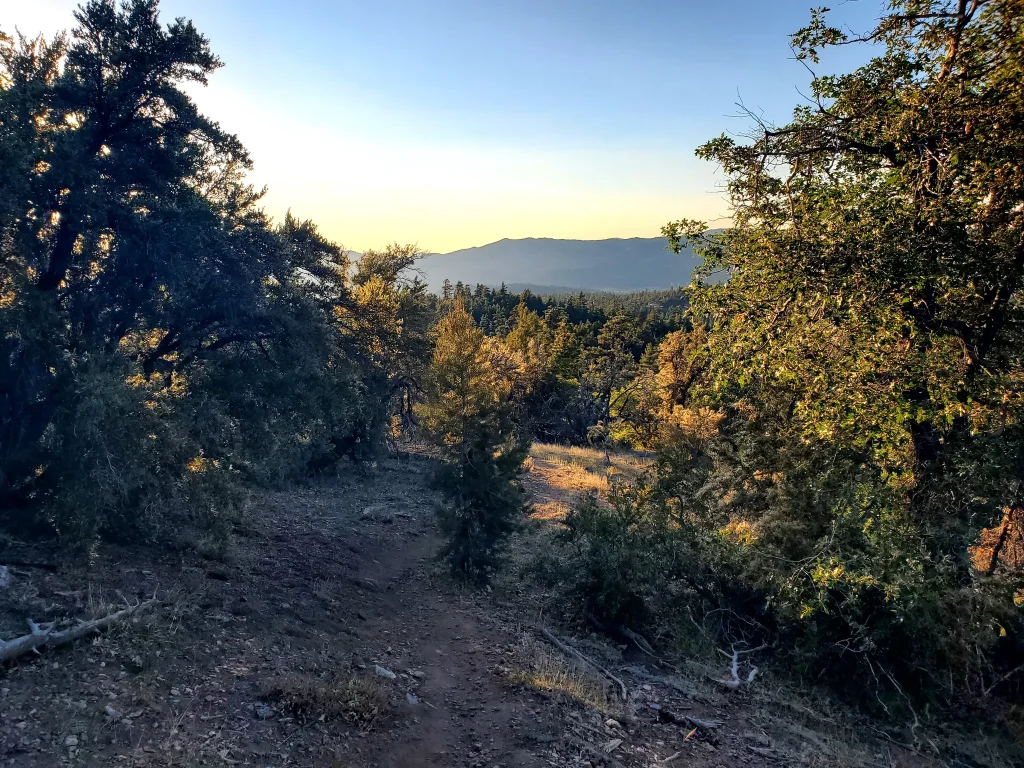 Moon Ridge Bow Canyon Loop Big Bear