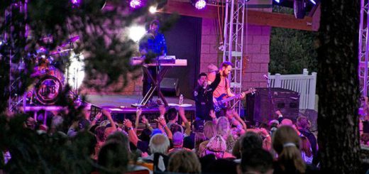 A crowd of concertgoers illuminated by purple lights, with a large bear figure visible in the background.