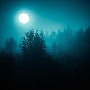 Moonlit foggy forest scene creating a spooky atmosphere for Nightmare Mountain in Big Bear