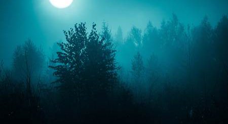 Moonlit foggy forest scene creating a spooky atmosphere for Nightmare Mountain in Big Bear