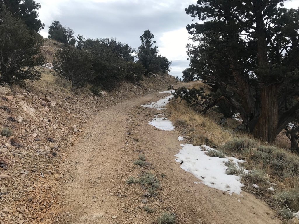 Dirt hiking trail winding through forest with patches of snow along the path and trees on both sides.