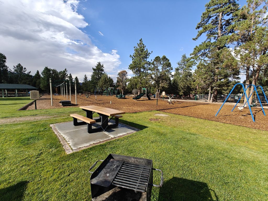A wide outdoor park playground featuring picnic tables, swings, slides, and green open grass surrounded by tall pine trees under a partly cloudy blue sky, with a barbecue grill in the foreground.