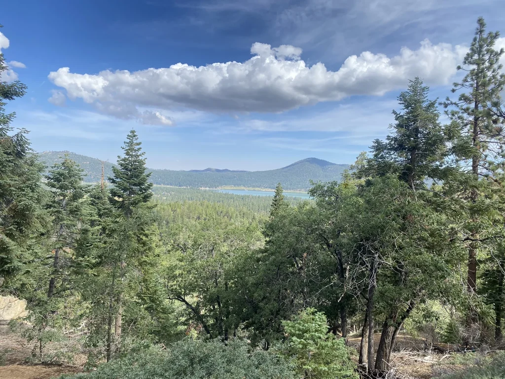 Scenic view of Big Bear mountains and trees from a hillside, showcasing natural beauty and serene landscape.