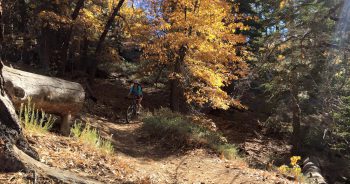 Castle Rock Trail