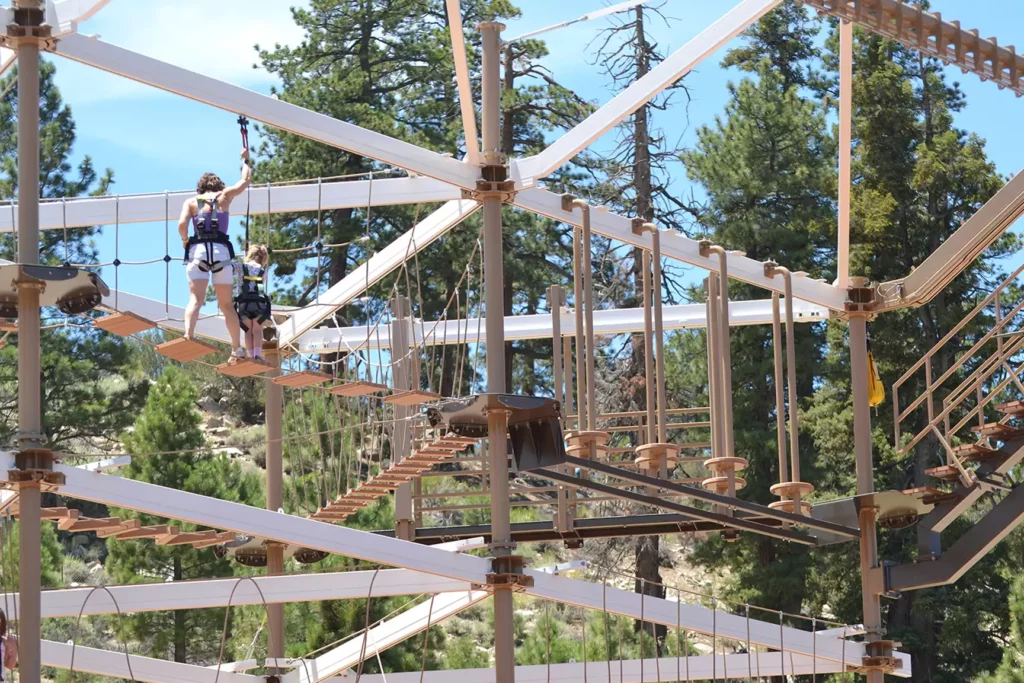 Two people navigate a high ropes course at Big Bear Lake surrounded by tall pine trees.