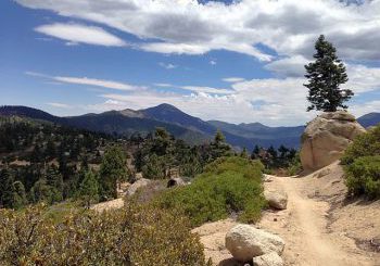 Skyline trail in Big Bear