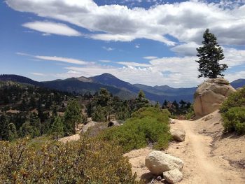 Skyline trail in Big Bear