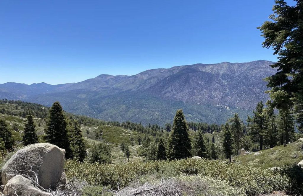 A panoramic view of a vast mountain range and forested valley in Big Bear under a clear blue sky.