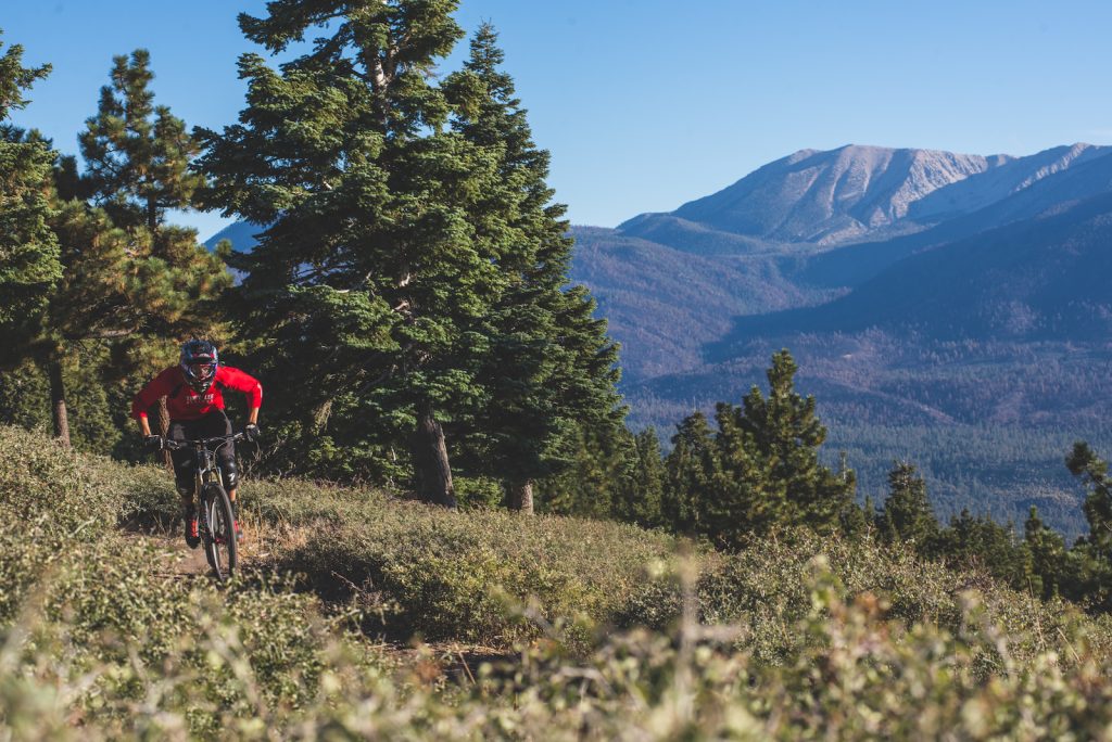 Mountain biker riding a scenic forest trail with mountain views in Big Bear Lake.