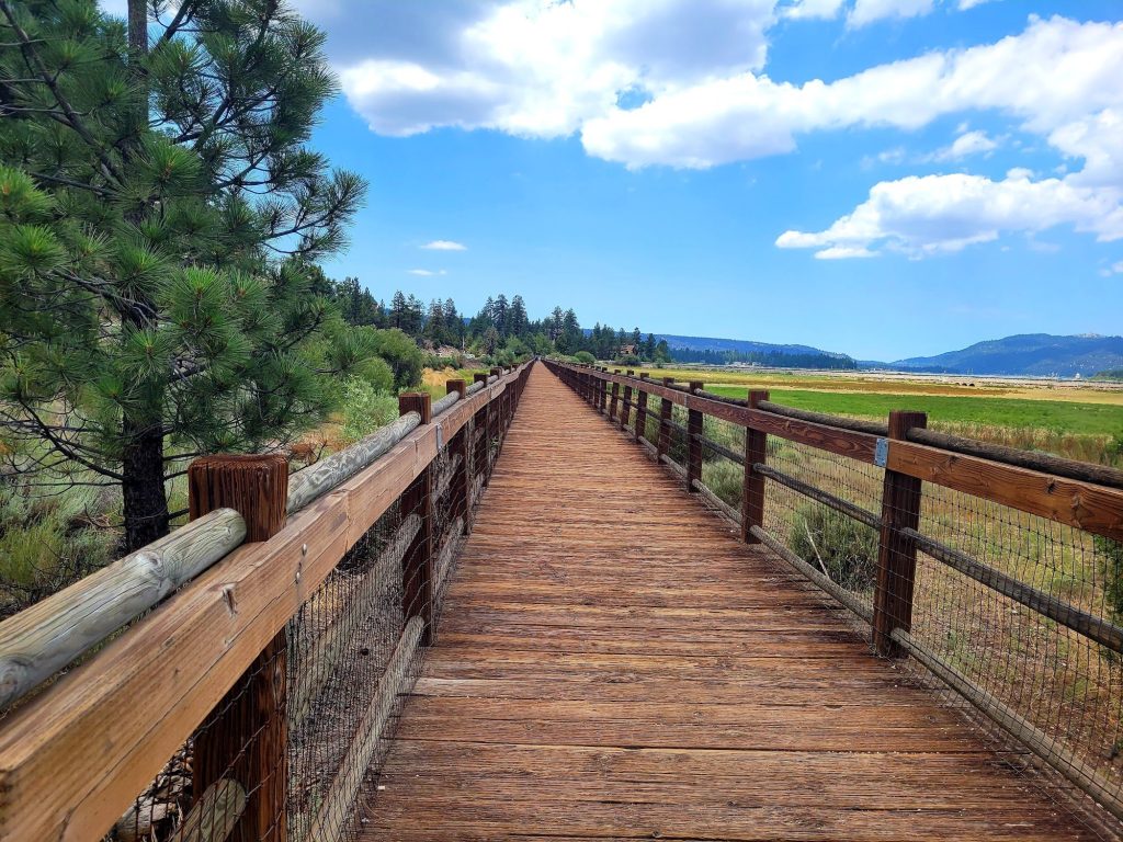 Scenic wooden boardwalk through Stanfield Marsh in Big Bear Lake surrounded by wetlands, pine trees, and blue skies with scattered clouds.