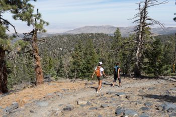 Two hikers on a trail in Big Bear mountains