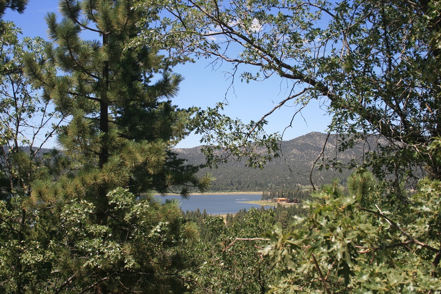 A clear view of Big Bear Lake and distant mountains framed by lush green trees from a hiking vantage point.