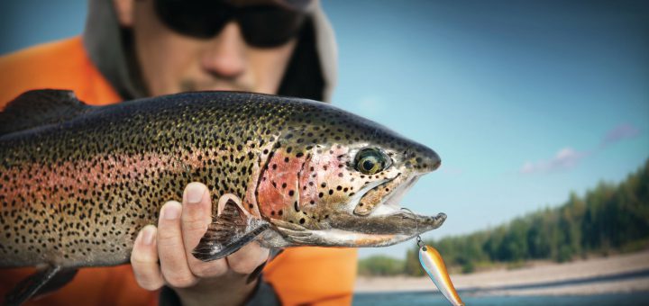 A man holds a large rainbow trout with a lure in its mouth, showing off his catch from Big Bear Lake.